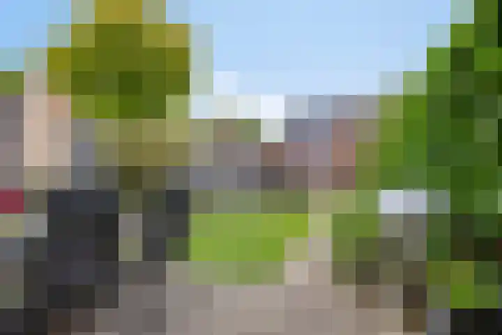 Vedergras 38 Borne thumbnail 27