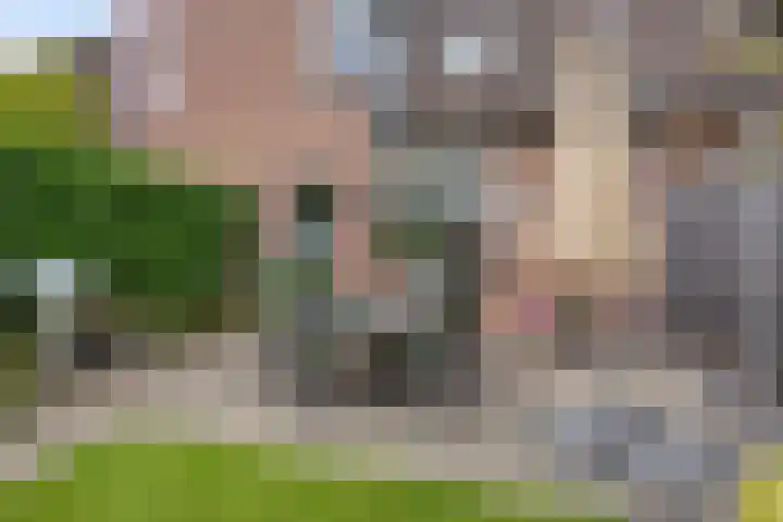 Vedergras 38 Borne thumbnail 28