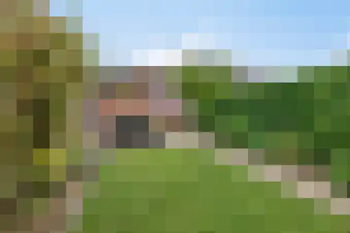 Vedergras 38 Borne thumbnail 29