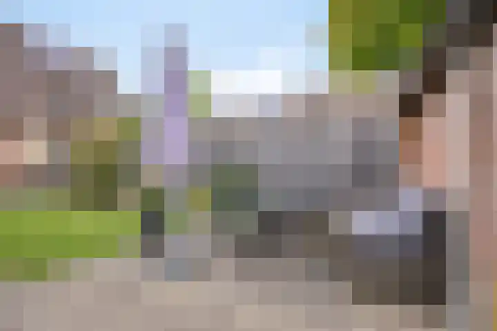 Vedergras 38 Borne thumbnail 30