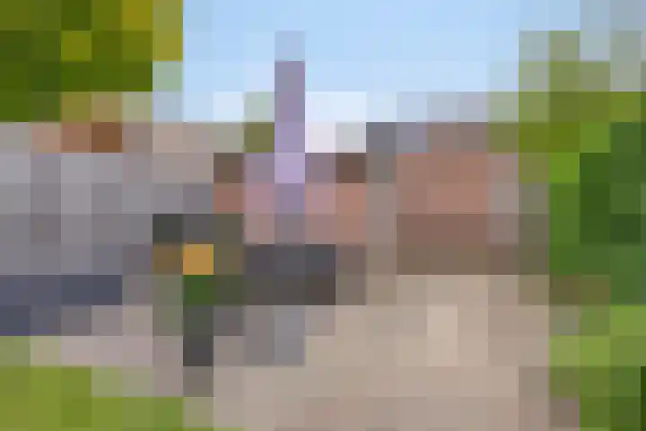 Vedergras 38 Borne thumbnail 31