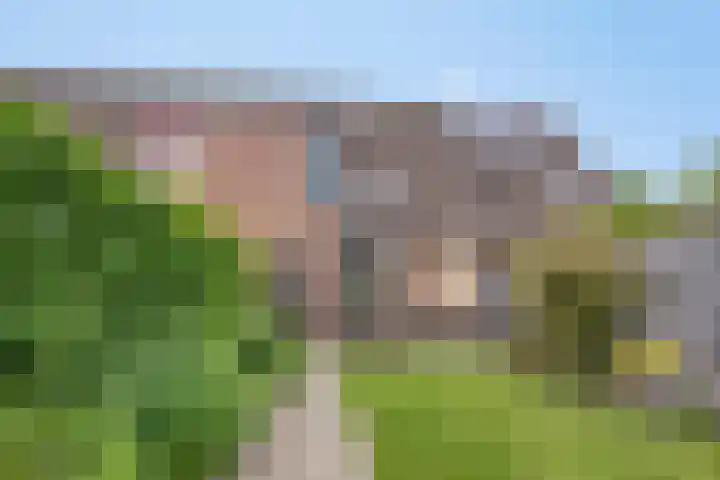 Vedergras 38 Borne thumbnail 32