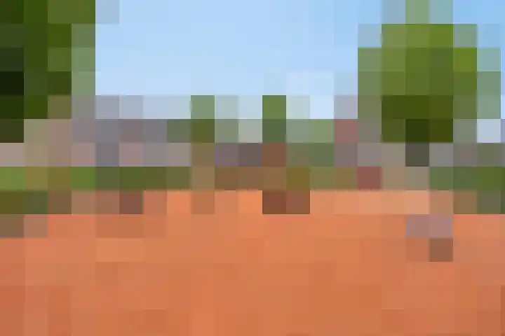 Vedergras 38 Borne thumbnail 34