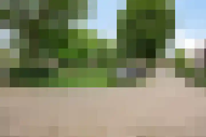 Vedergras 38 Borne thumbnail 36
