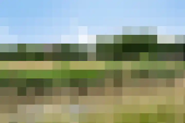 Vedergras 38 Borne thumbnail 37