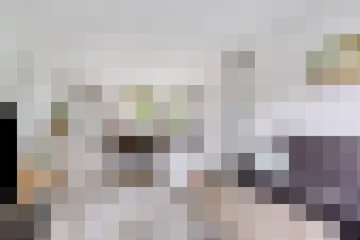 Vedergras 38 Borne thumbnail 6