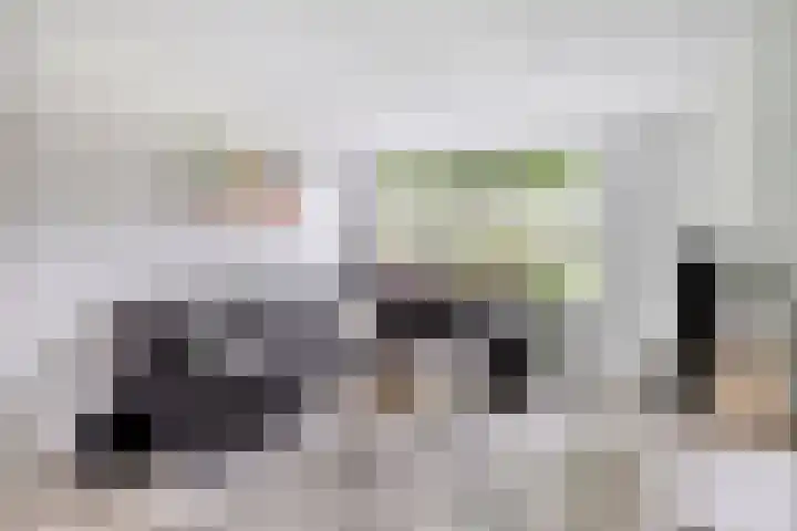 Vedergras 38 Borne thumbnail 8