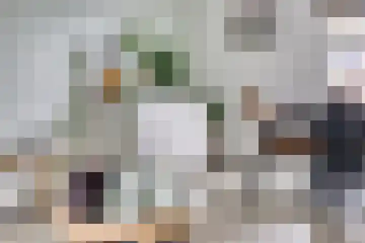 Vedergras 38 Borne thumbnail 9
