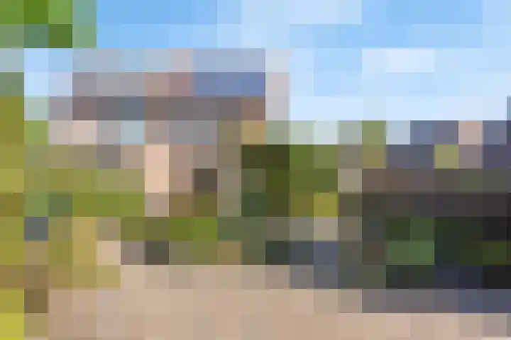 Vedergras 52 Borne thumbnail 13