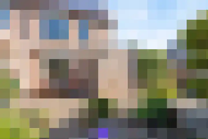 Vedergras 52 Borne thumbnail 14