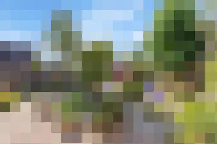 Vedergras 52 Borne thumbnail 15