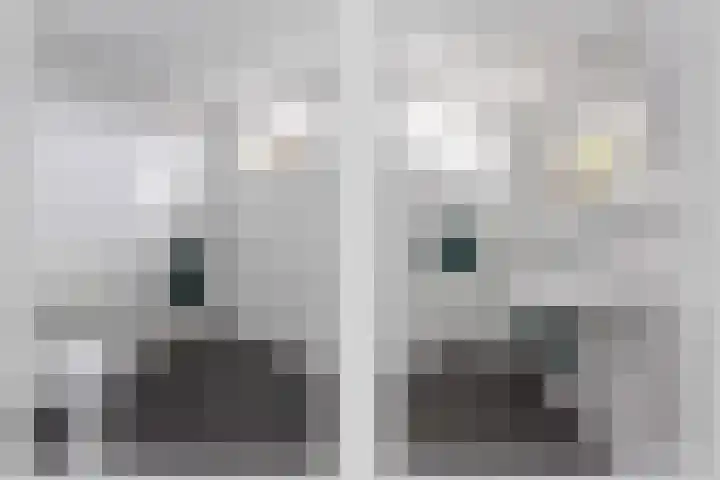 Vedergras 72 Borne thumbnail 12