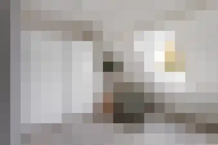 Vedergras 72 Borne thumbnail 14