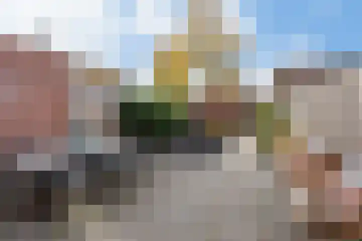Vedergras 72 Borne thumbnail 17
