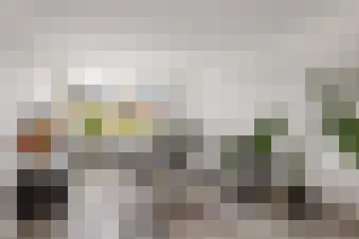 Vedergras 72 Borne thumbnail 6