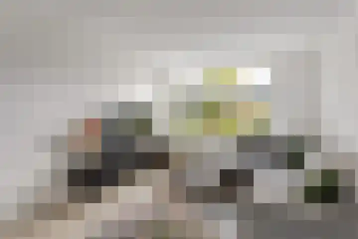 Vedergras 72 Borne thumbnail 7