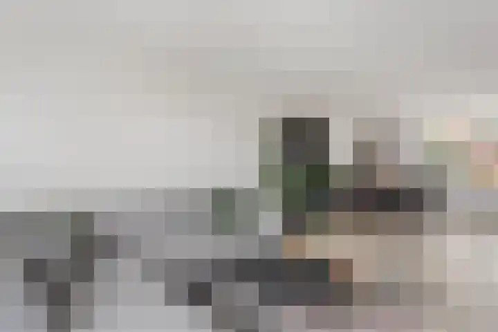 Vedergras 72 Borne thumbnail 8