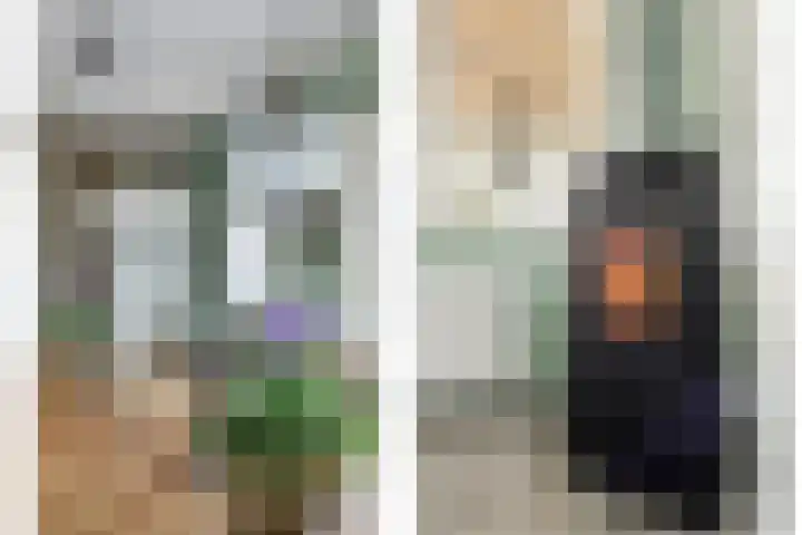 Vedergras 74 Borne thumbnail 10