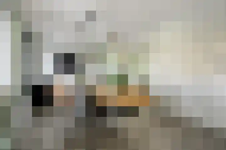 Vedergras 74 Borne thumbnail 11