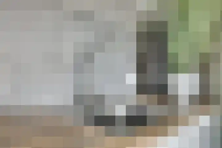 Vedergras 74 Borne thumbnail 16