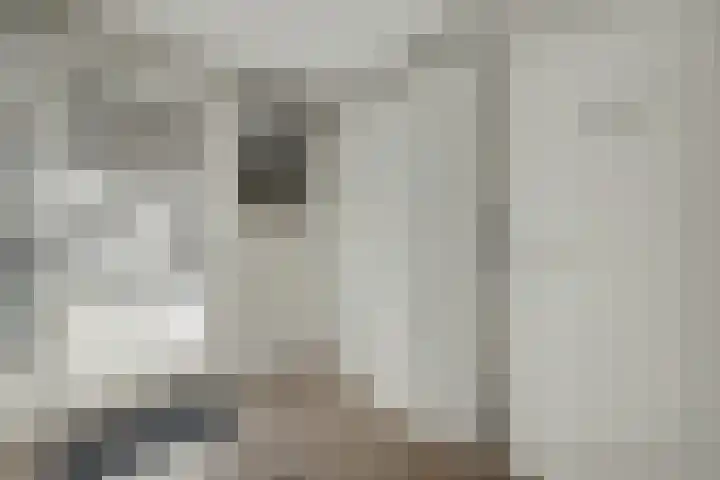 Vedergras 74 Borne thumbnail 17
