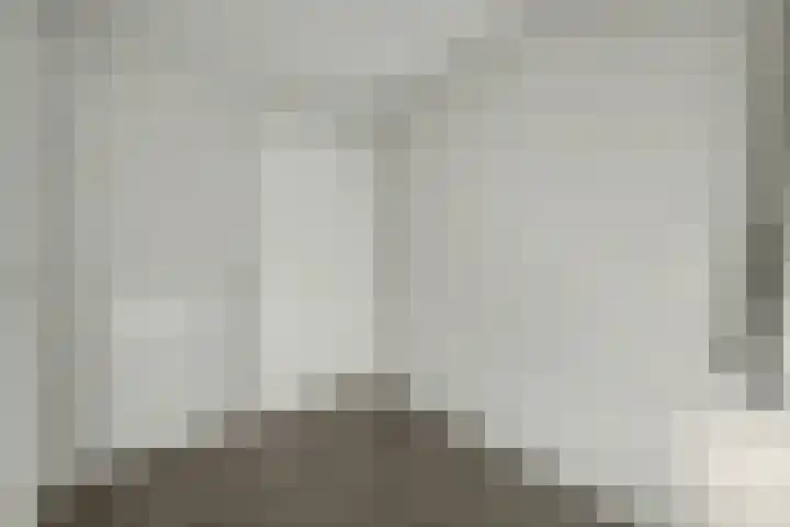 Vedergras 74 Borne thumbnail 18