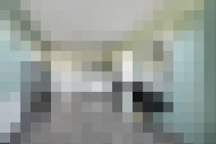 Vedergras 74 Borne thumbnail 20