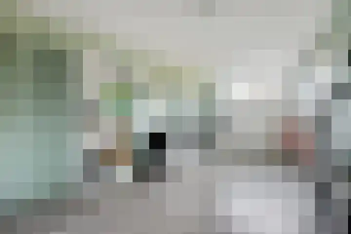 Vedergras 74 Borne thumbnail 21
