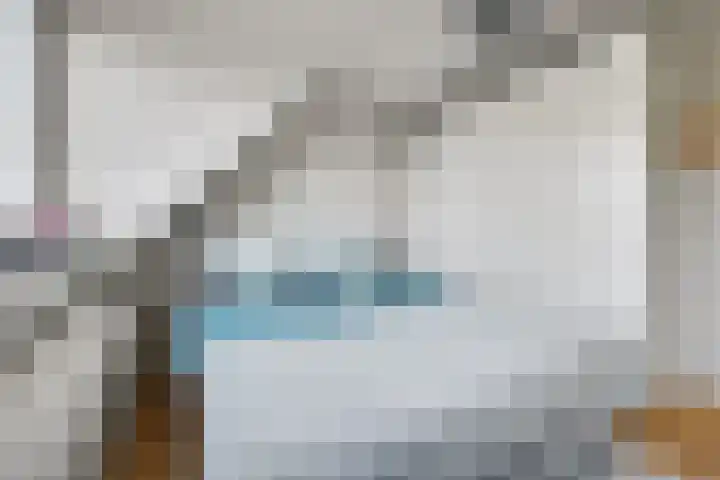 Vedergras 74 Borne thumbnail 24