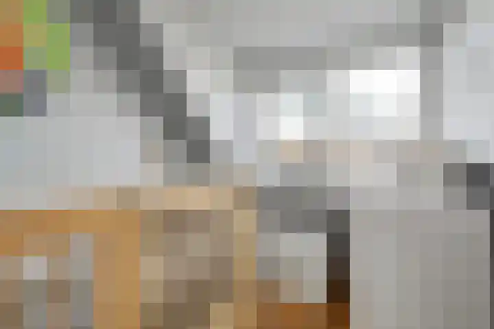 Vedergras 74 Borne thumbnail 27