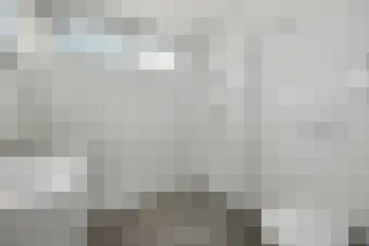 Vedergras 74 Borne thumbnail 28