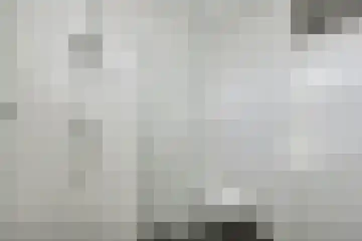 Vedergras 74 Borne thumbnail 29
