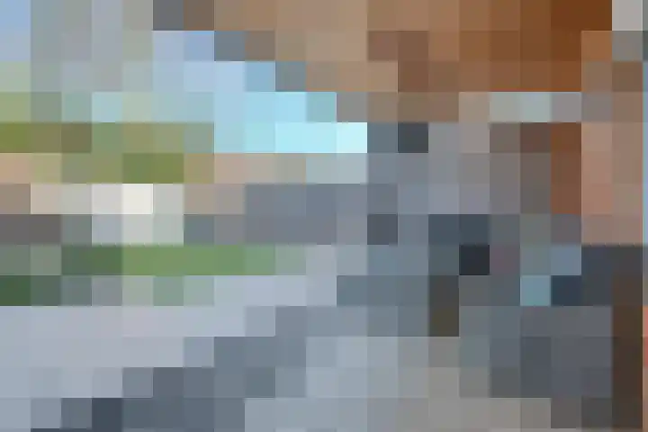 Vedergras 74 Borne thumbnail 32