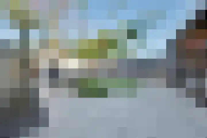 Vedergras 74 Borne thumbnail 33