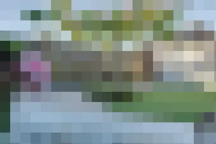 Vedergras 74 Borne thumbnail 35