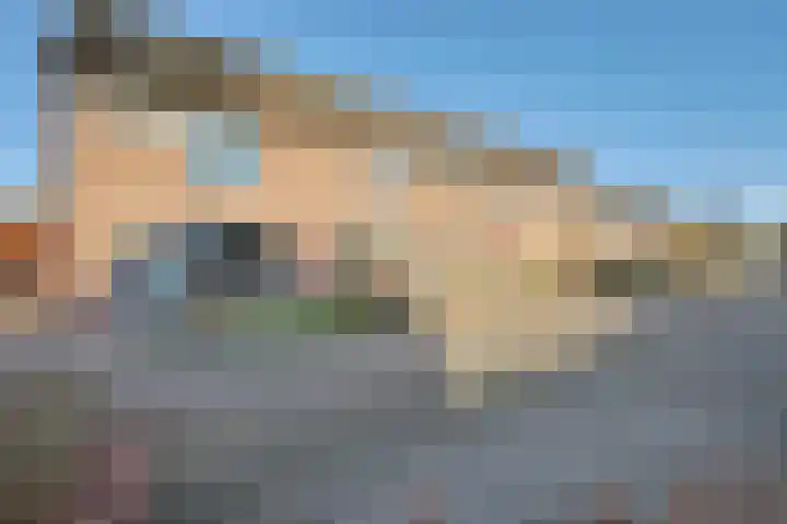 Vedergras 74 Borne thumbnail 37
