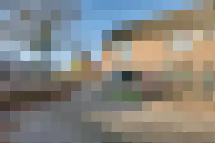 Vedergras 74 Borne thumbnail 38