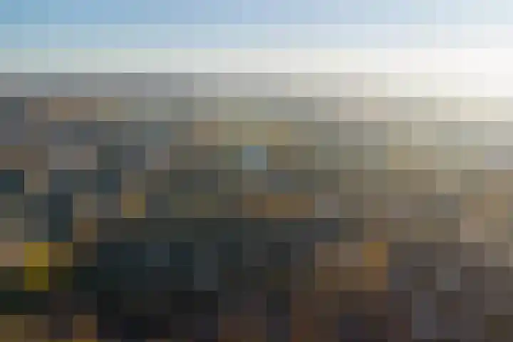 Vedergras 74 Borne thumbnail 40