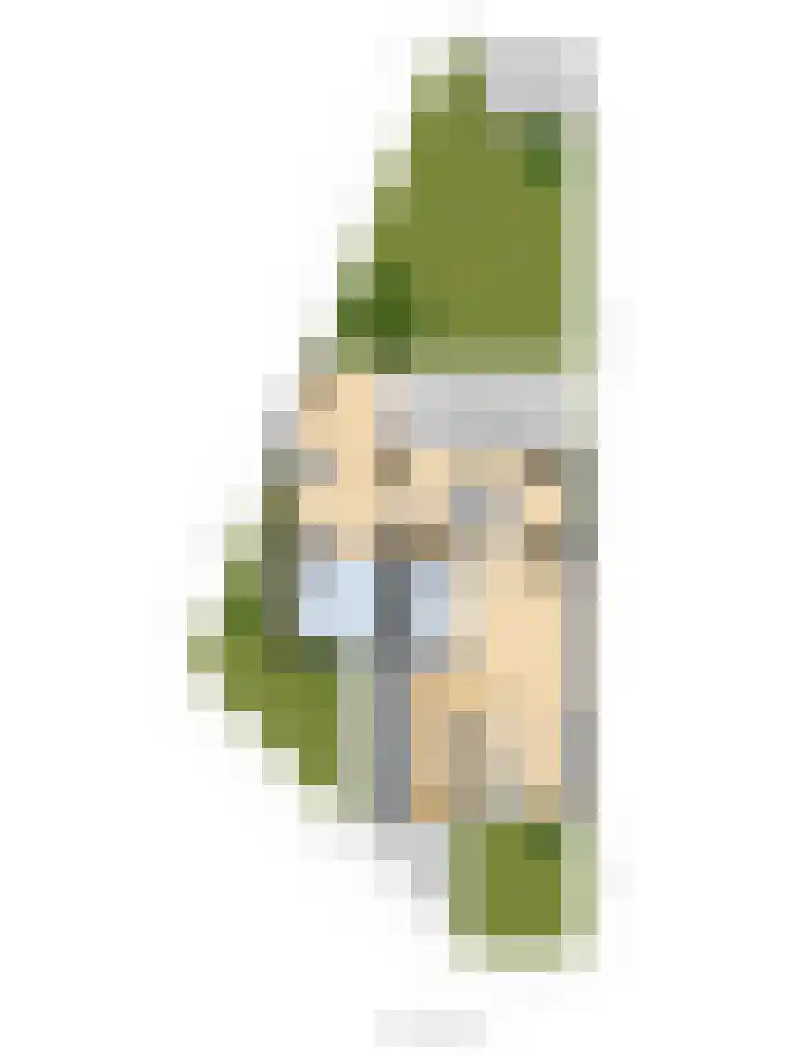 Vedergras 74 Borne thumbnail 43
