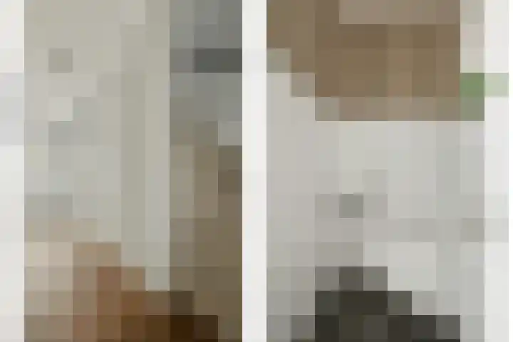 Vedergras 74 Borne thumbnail 5
