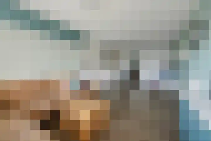 Vedergras 74 Borne thumbnail 8
