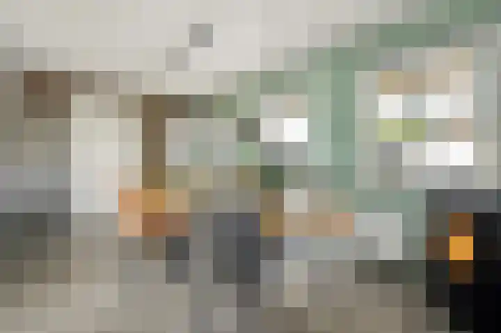 Vedergras 74 Borne thumbnail 9