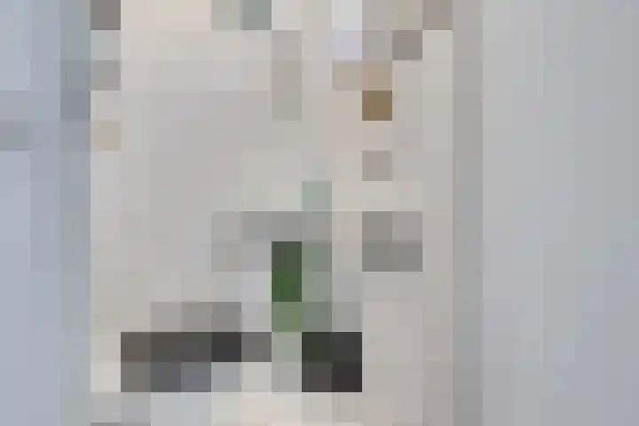 Vedergras 8 Houten thumbnail 12
