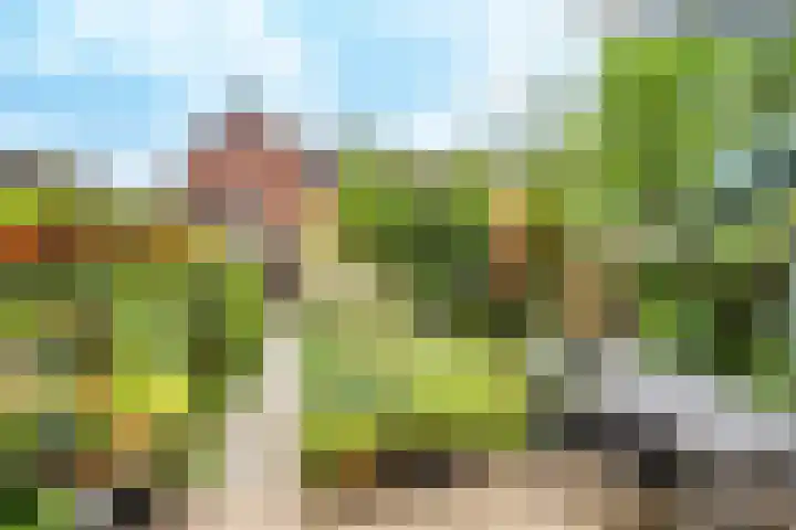 Vedergras 8 Houten thumbnail 28