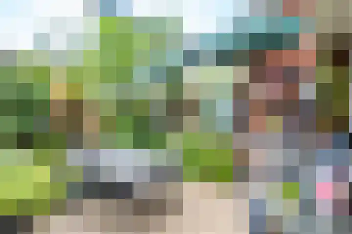 Vedergras 8 Houten thumbnail 29