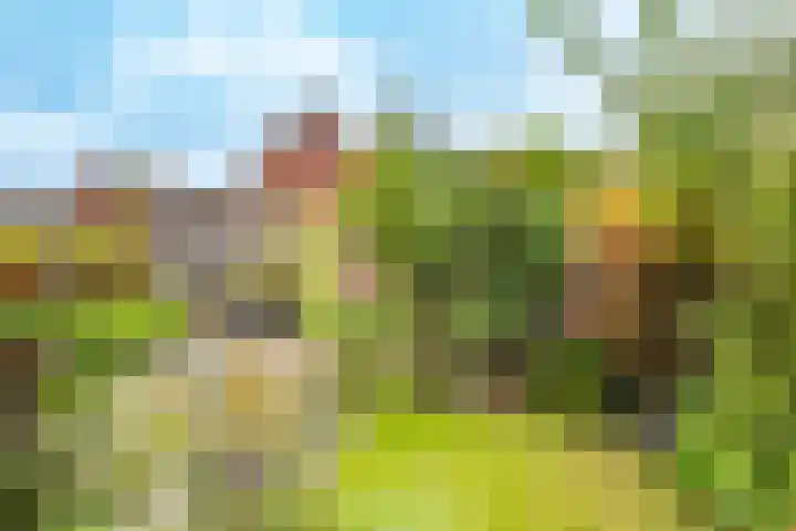 Vedergras 8 Houten thumbnail 30
