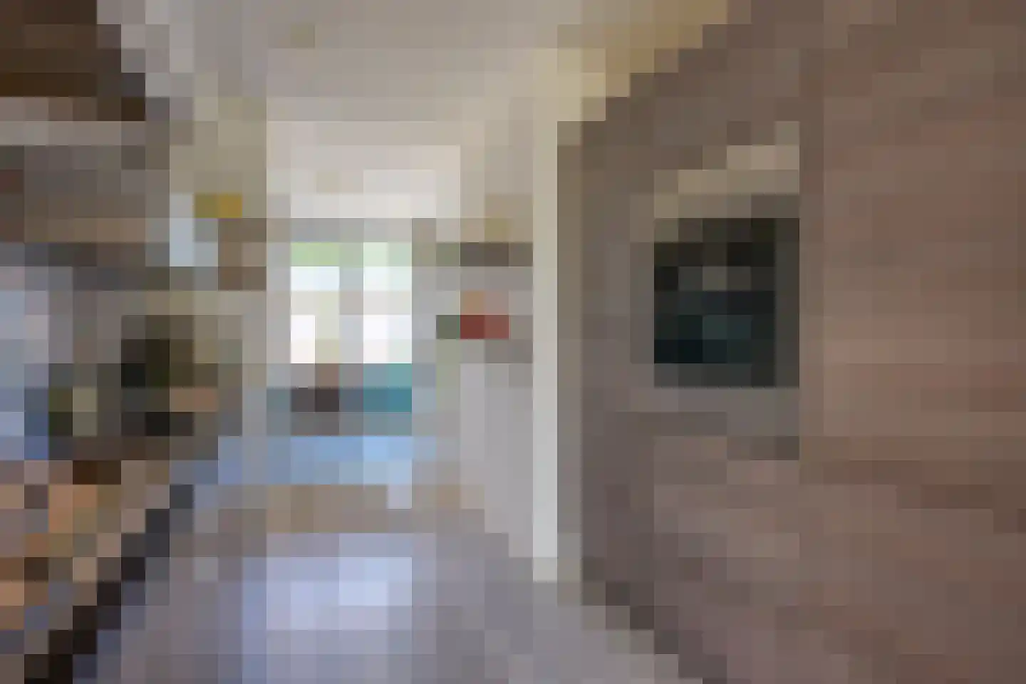 Vedergraslaan 48 Vleuten thumbnail 15