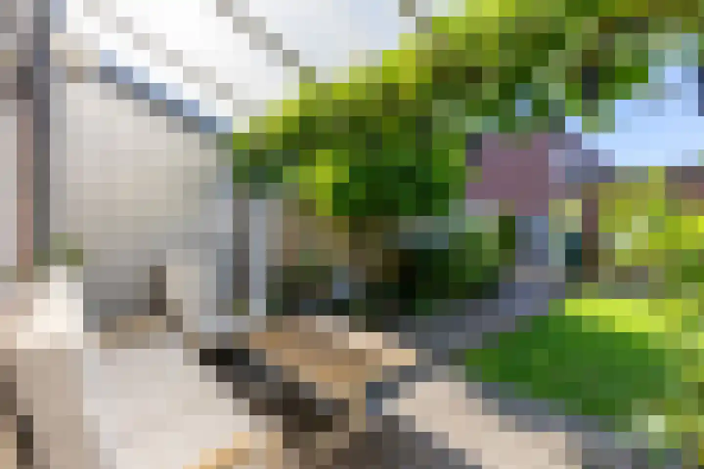 Vedergraslaan 48 Vleuten thumbnail 21