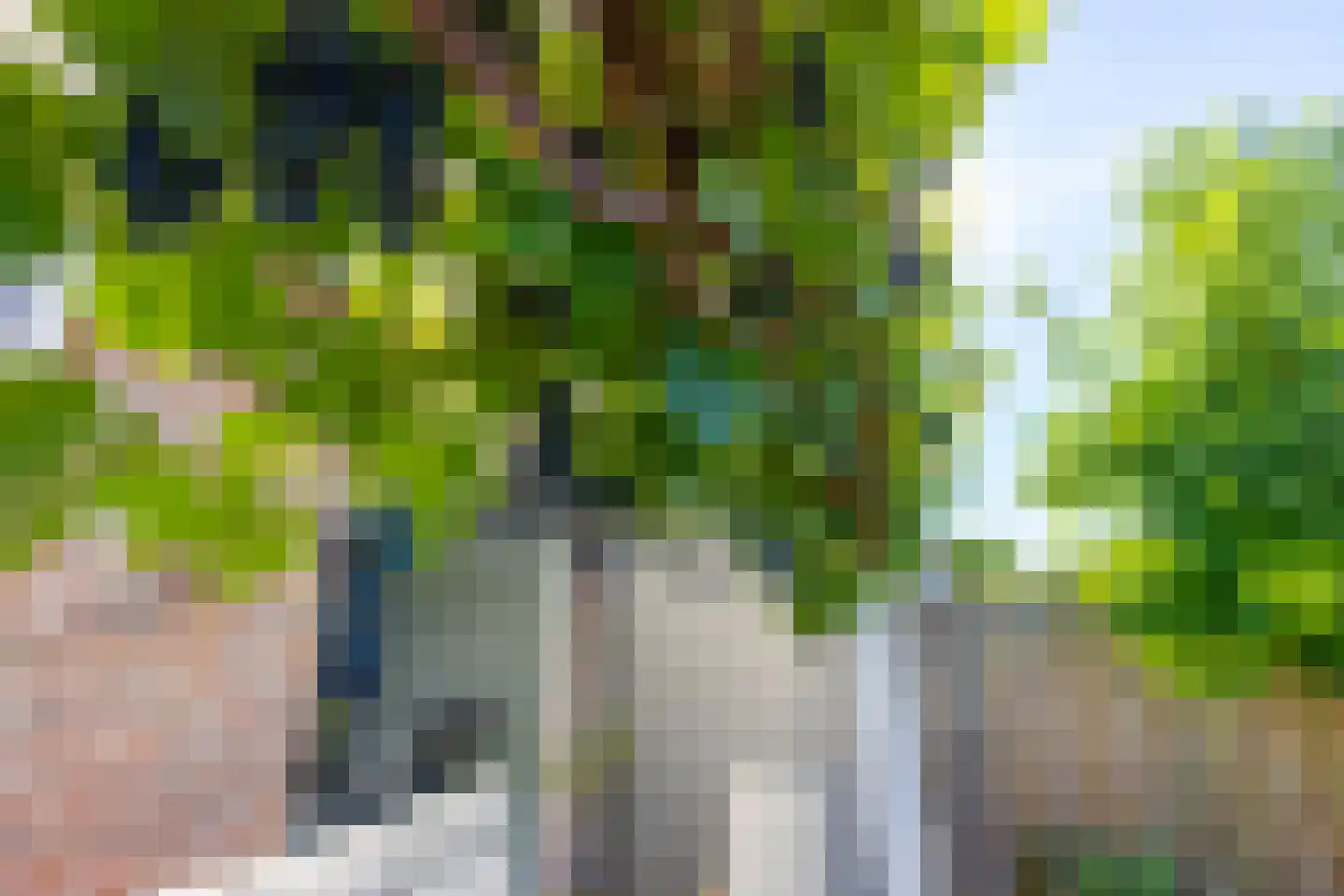 Vedergraslaan 48 Vleuten thumbnail 23