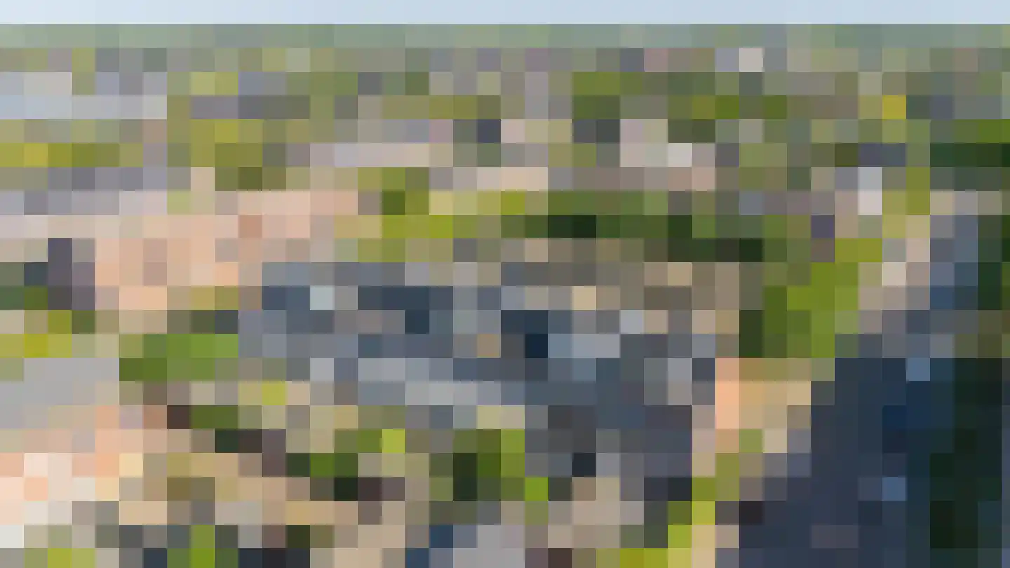 Vedergraslaan 48 Vleuten thumbnail 45